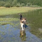 Wie lange können wir noch baden ?