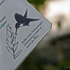 Wie macht der Kolibri das nur?