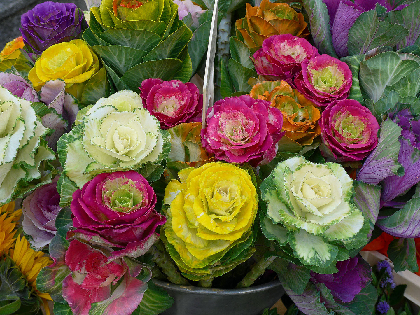 Wie man "Blumen" nachmachen kann - schönes we für alle!