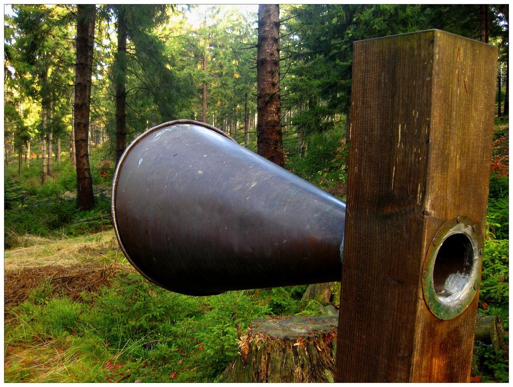 Wie man in den Wald hinein ruft...