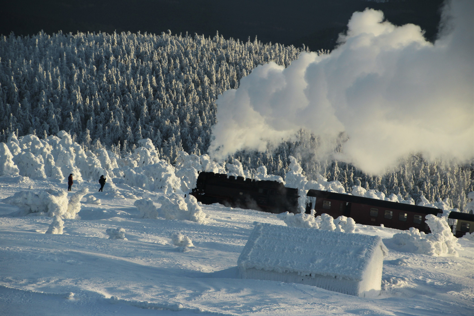 Wie man sich den Winter erträumt