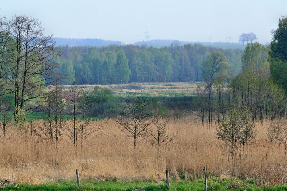 Wie Moor und Heide