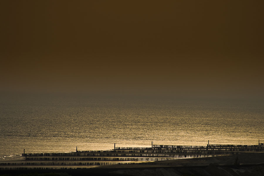 wie nadeln am strand