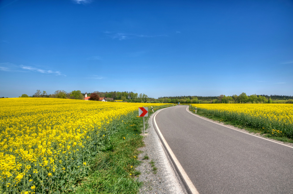 Wie nennt man so eine Straße ...