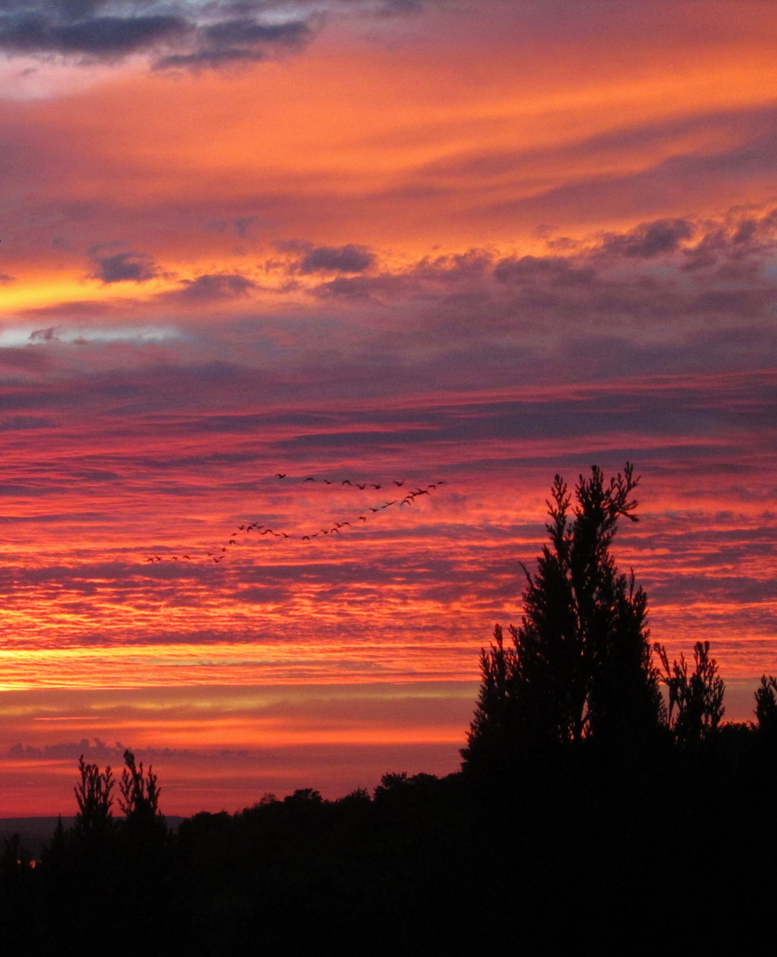 Wie oben so unten Foto & Bild sonnenaufgänge, himmel & universum, sonnenaufgang und