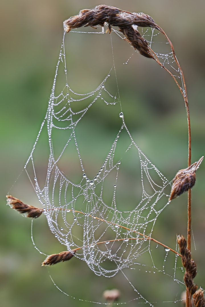 wie Perlen auf der Schnur  -  like pearls on a string