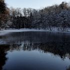 Wie schaut jetzt Winter noch mal aus?