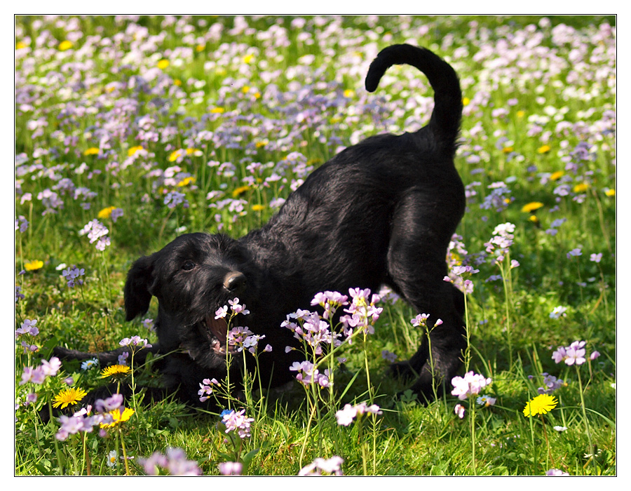 Wie schmeckt der Frühling?