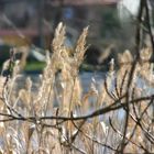 wie schön der Herbst doch sein kann