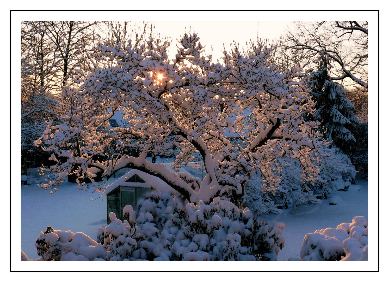 Wie schön der Winter bei uns mal ausgesehen hat ...