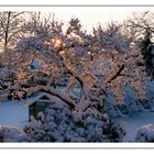 Wie schön der Winter bei uns mal ausgesehen hat ...