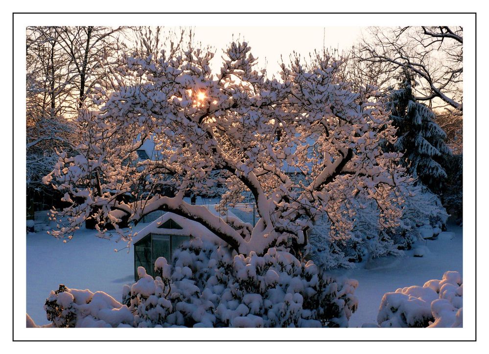 Wie schön der Winter bei uns mal ausgesehen hat ...