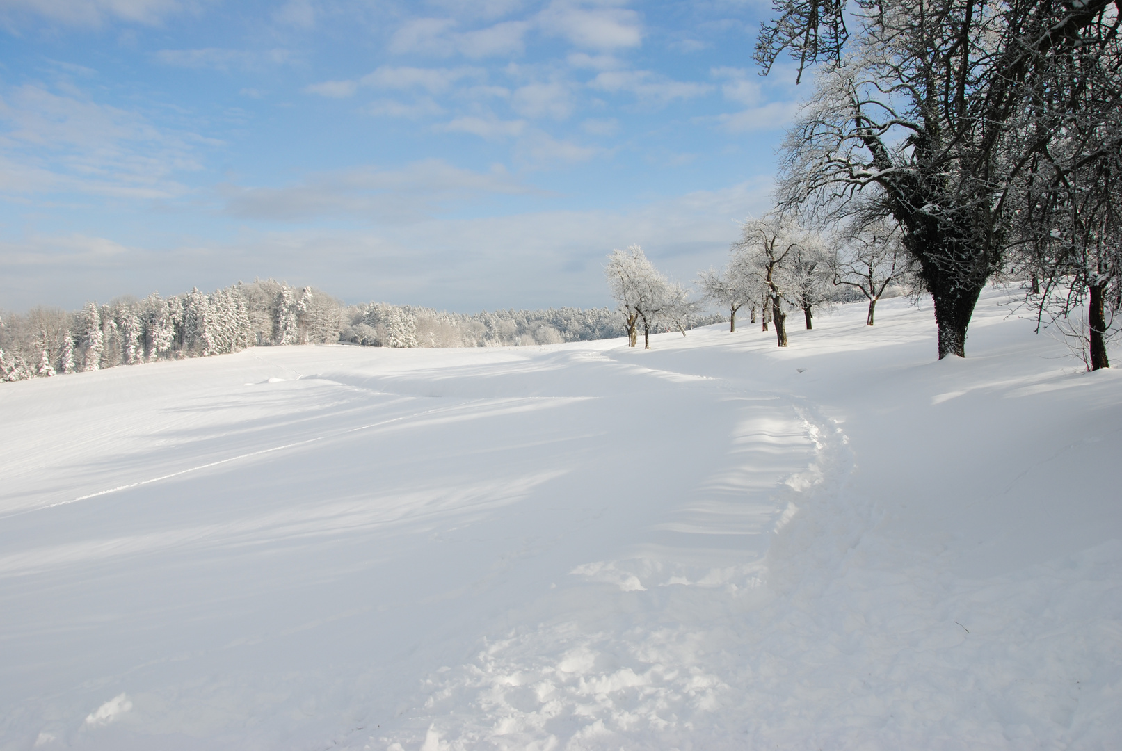 Wie schön doch so ein Schneetag sein kann ....