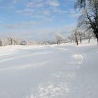 Wie schön doch so ein Schneetag sein kann ....