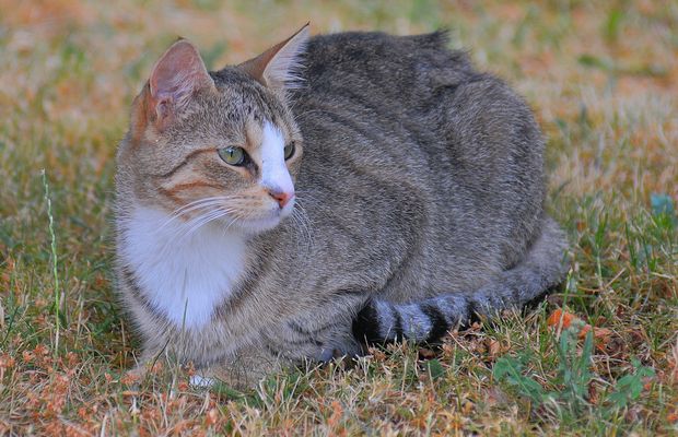 wie schön doch unsere Olga ist