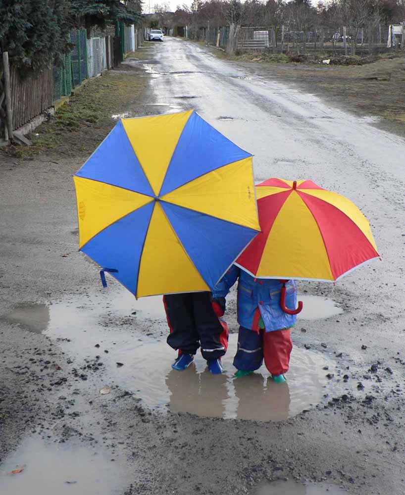 Wie schön ist doch der Regen !!!