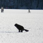 Wie schön ist es auf dem Königsee...