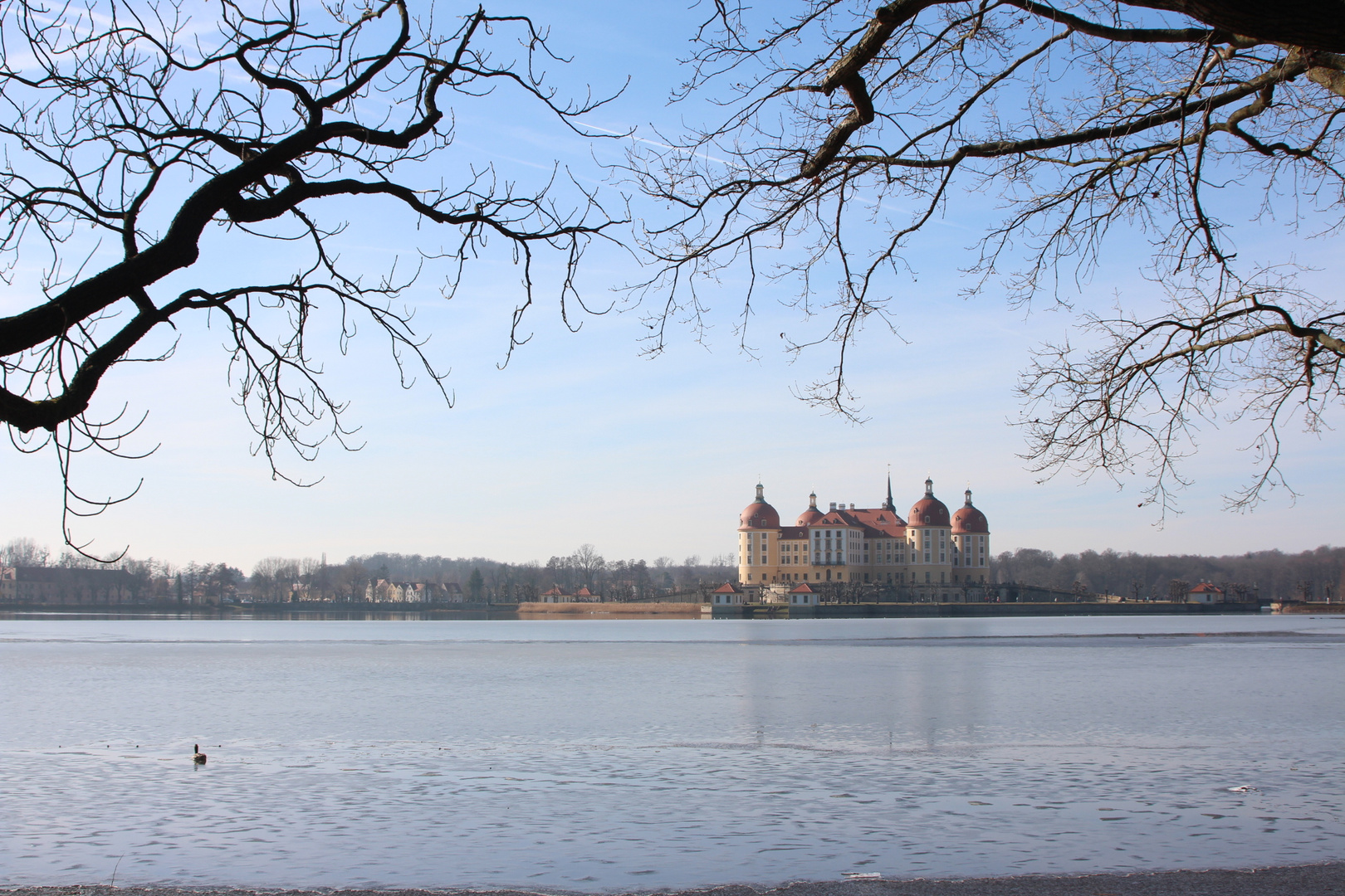 ...wie schön ist Moritzburg