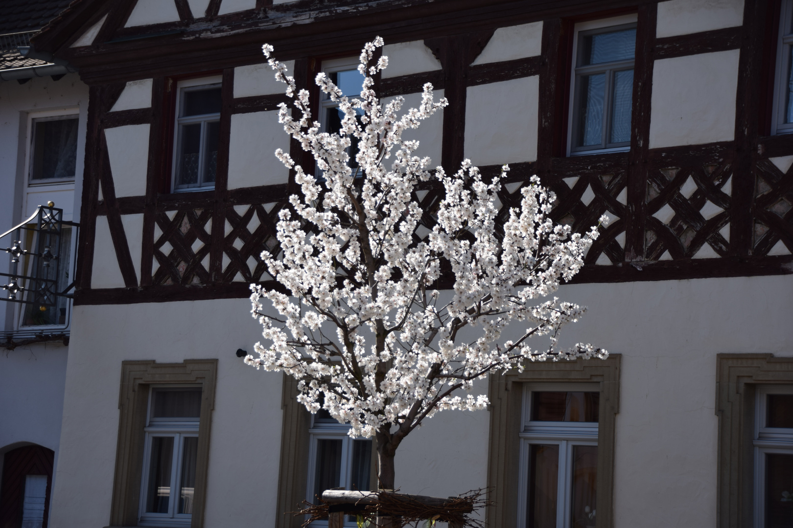 Wie schön kann der Frühling sein