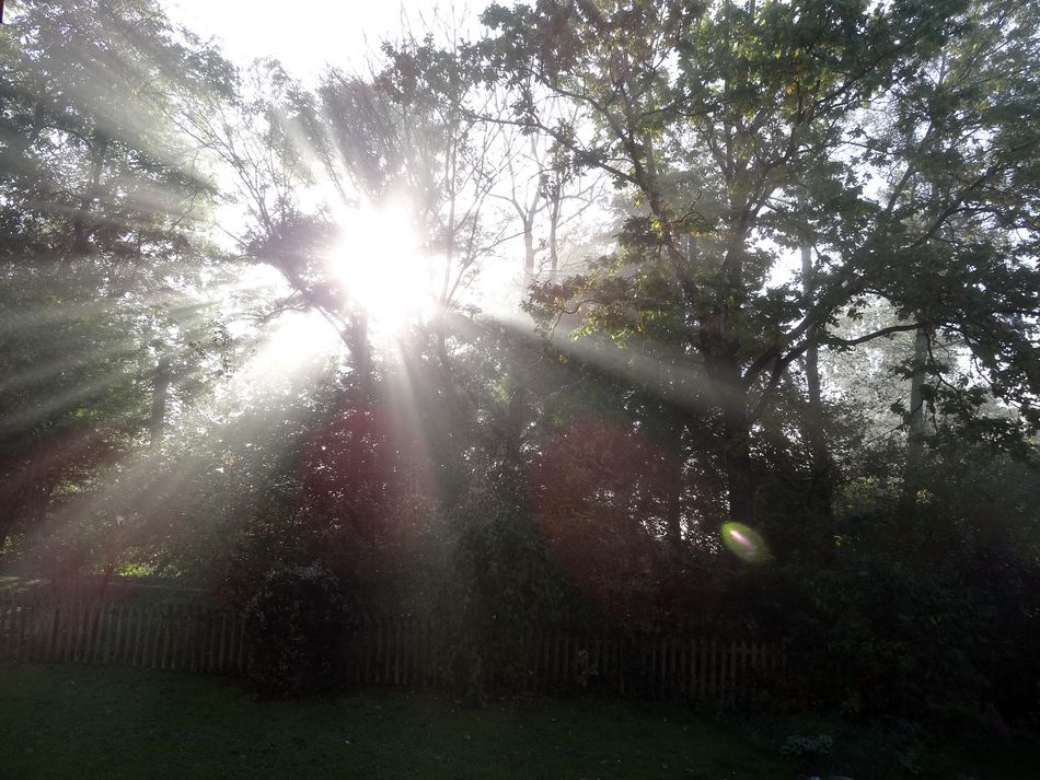 Wie schön kann ein Sonnenaufgang im Nebel sein