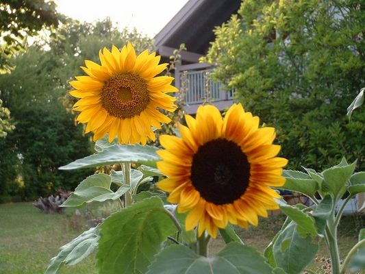 wie schön war der sommer!!!