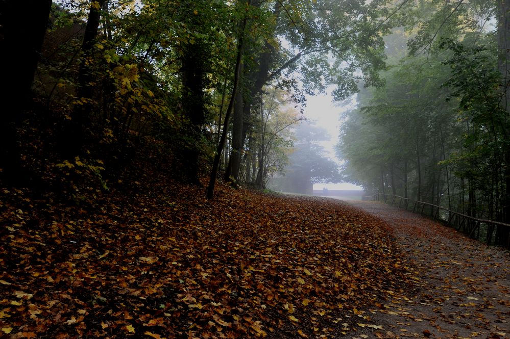 Wie schön war doch der Herbst...