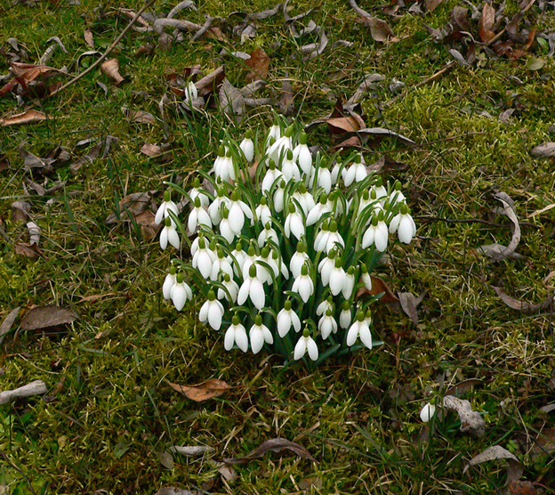 Wie schön, was wird Frühling!