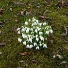 Wie schön, was wird Frühling!