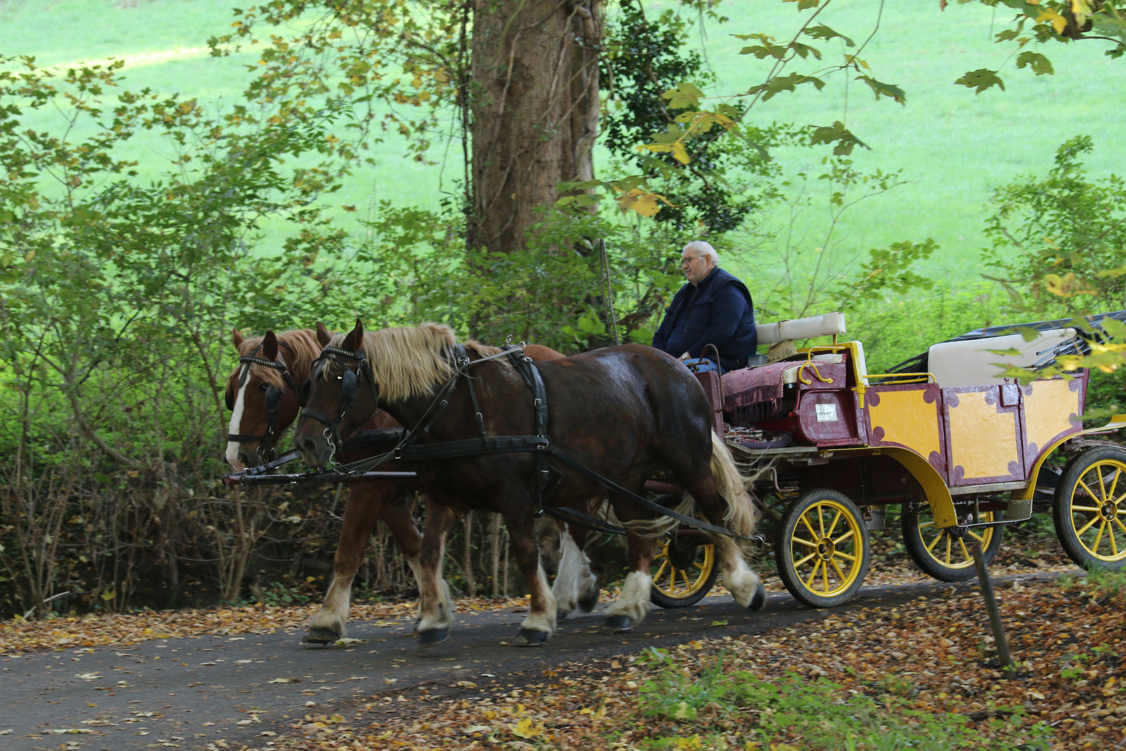 wie schöne, darf ich mal mit fahren...?