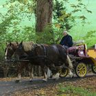 wie schöne, darf ich mal mit fahren...?