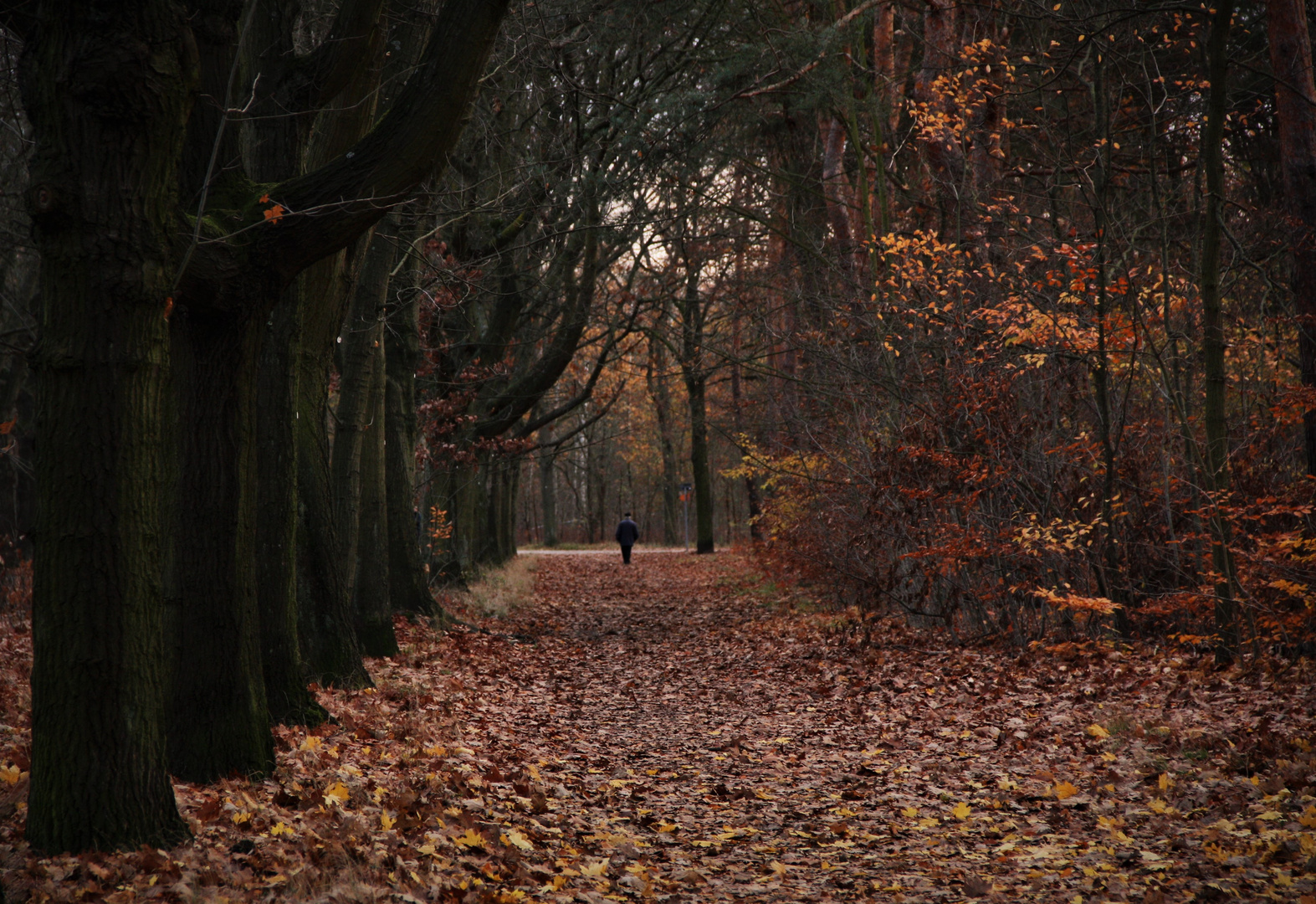 Wie sich die Natur verändert