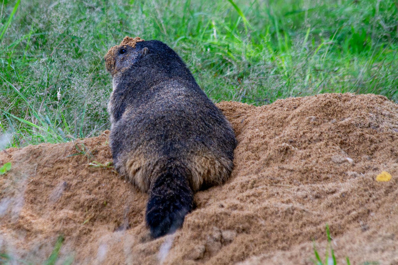 Wie sieht das hier eigentlich mit einer Schmutzzulage aus?