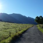 wie Sonne nach dem Regen