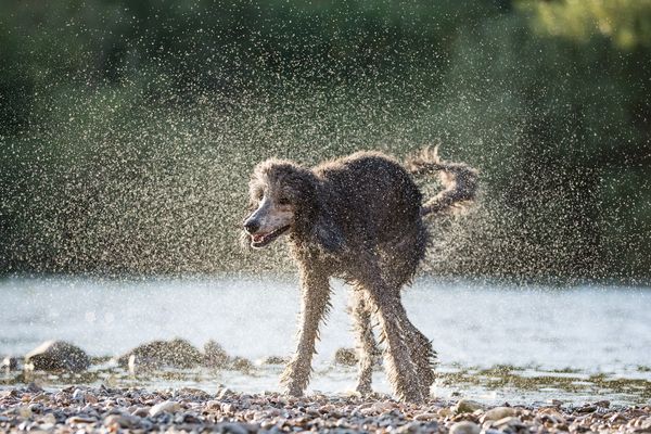 Wie tausend kleine Diamanten...
