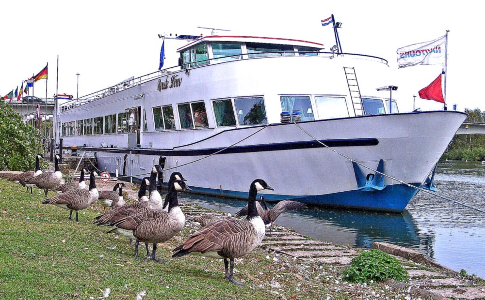 Wie üblich Mädels, oder nehmen wir das Schiff....???