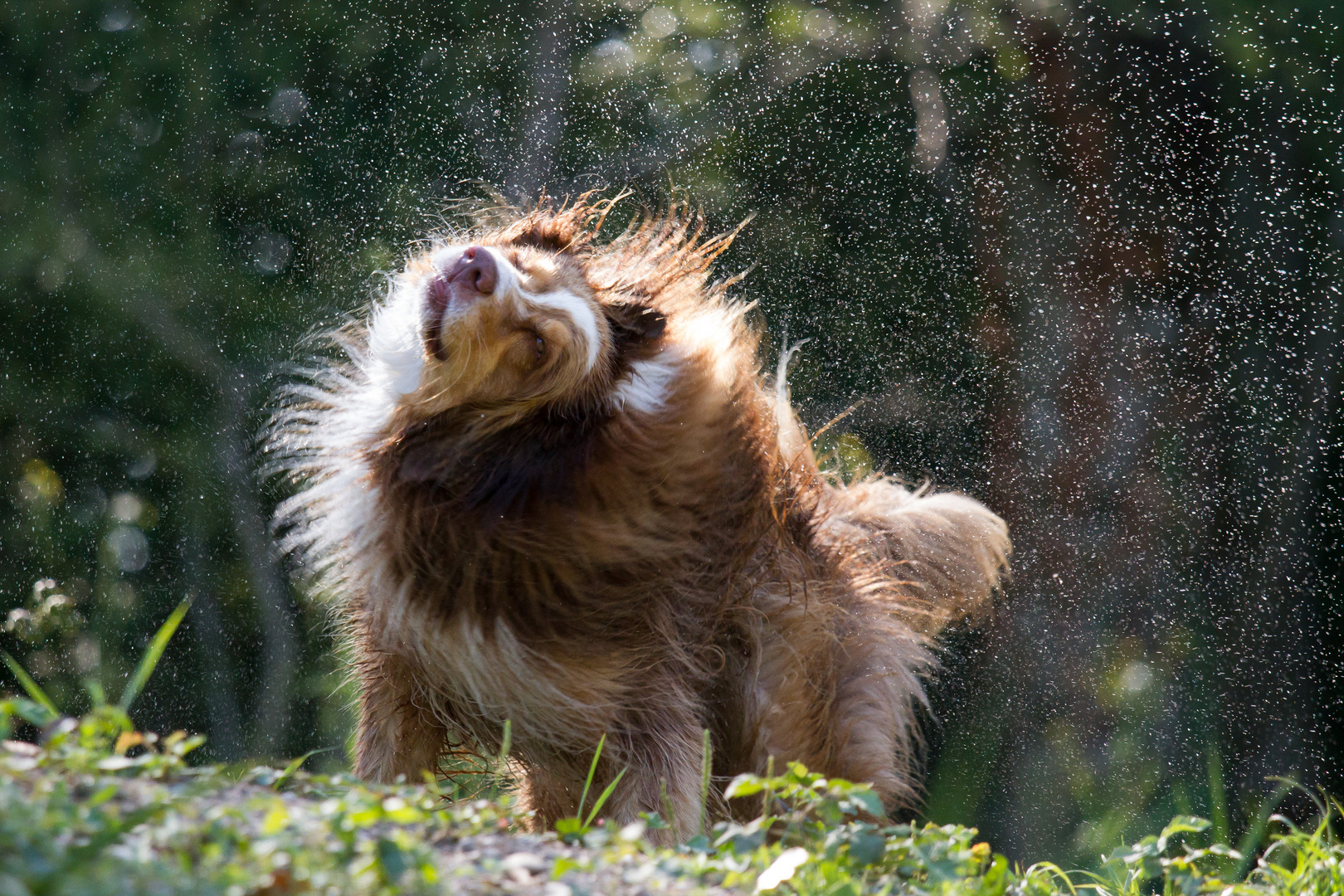 Wie unter der Dusche