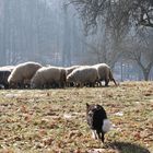 ...wie von hinten