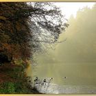 Wie wäre es mit nochmal etwas Herbst?