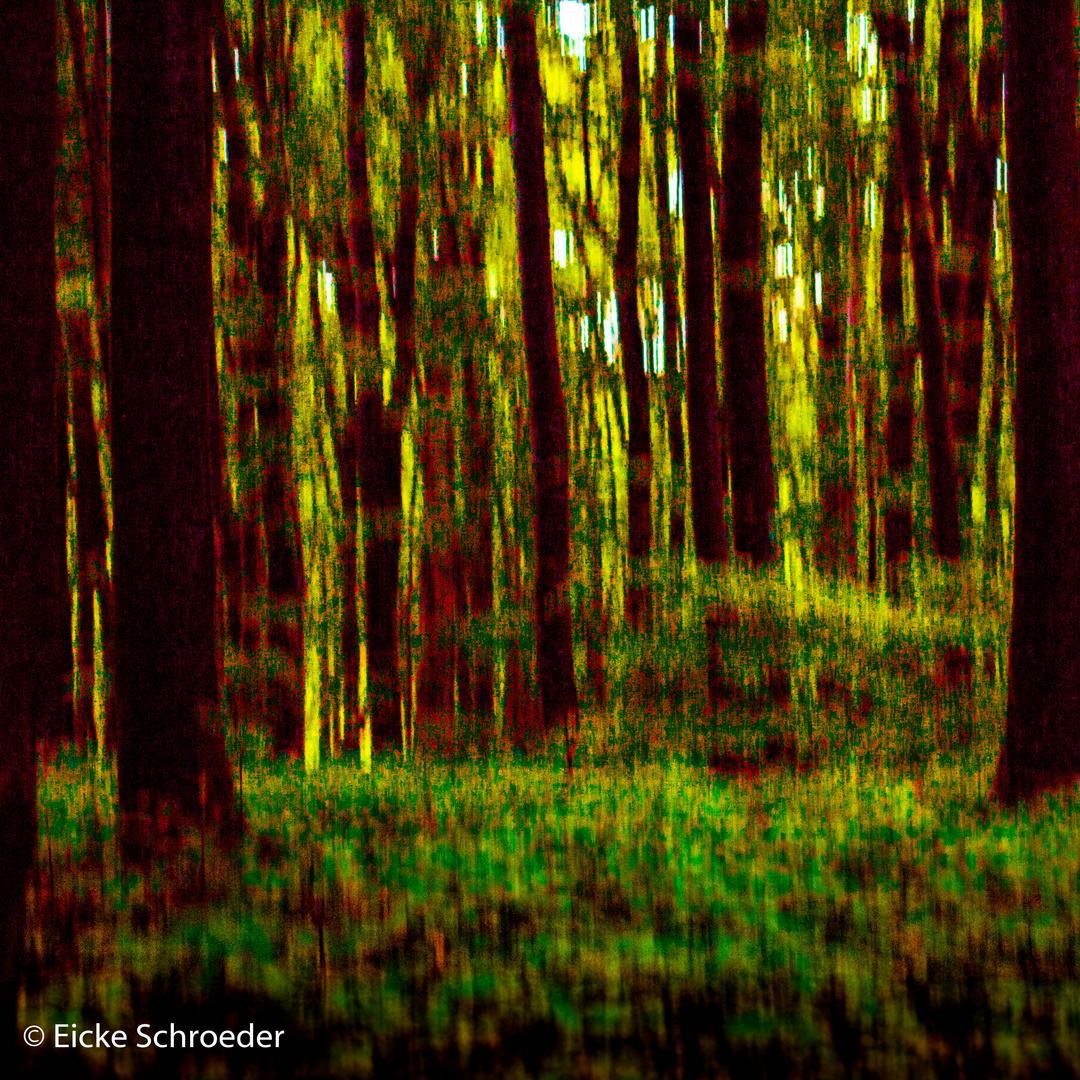 wie war das doch im Wald