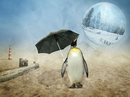 Wie war das mit dem Schnee?