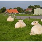 Wie war das noch mit dem Rücken...