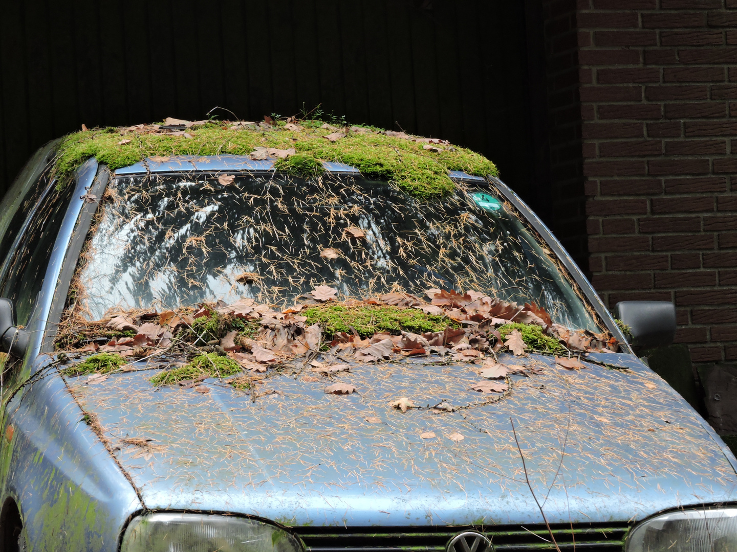 Wie war das nochmal mit dem Gras über die Sache wachsen lassen?