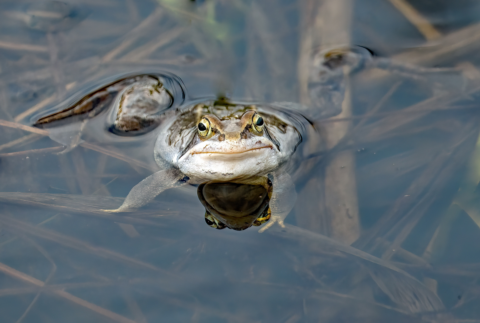 "WIE? WAS? .... hier darf man nicht Baden?"