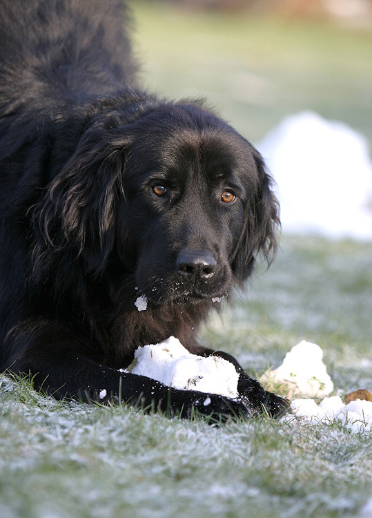 Wie was nix zu essen?