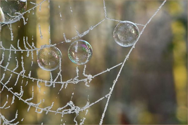 wie Weihnachtskugeln ...
