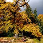 Wie weit und groß ist doch der Herbst...