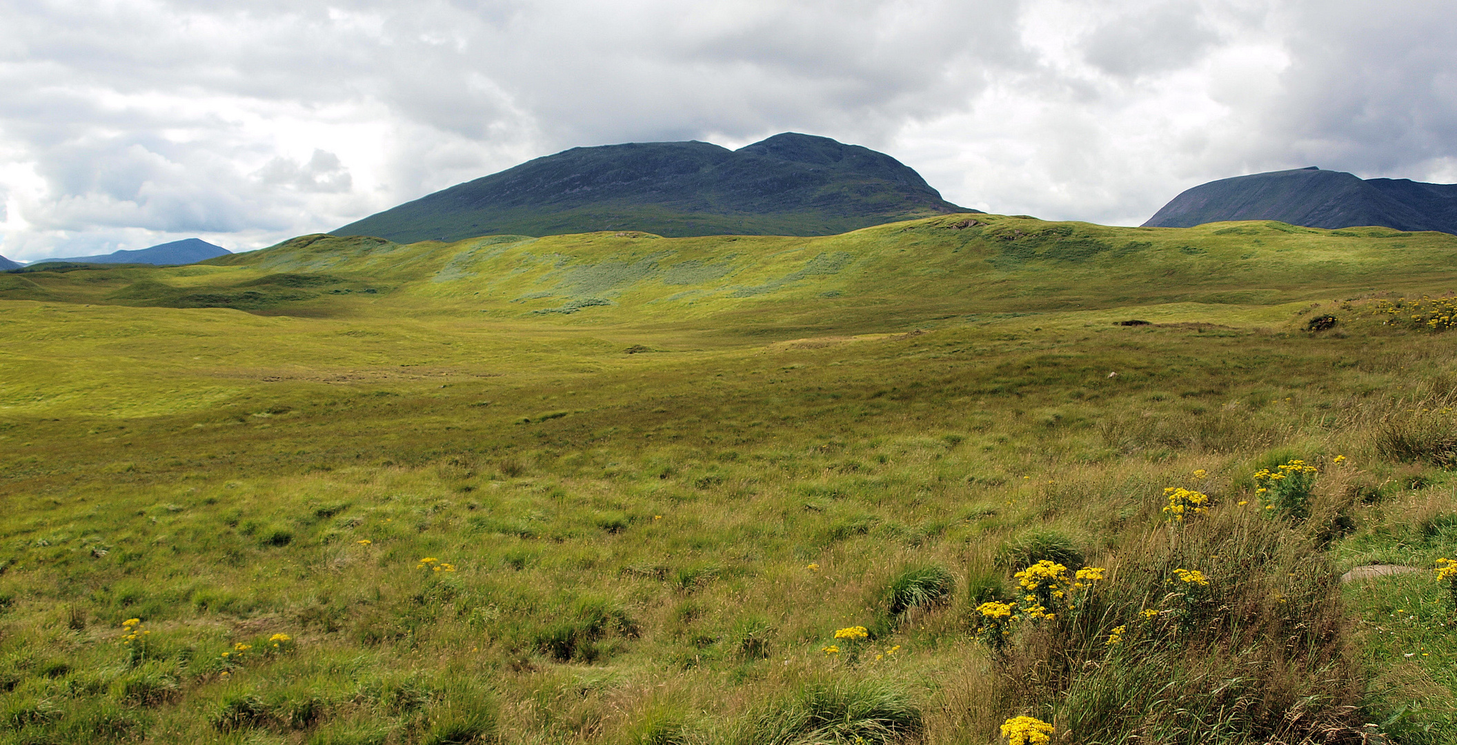 Wie wird Schottland sich entscheiden ?