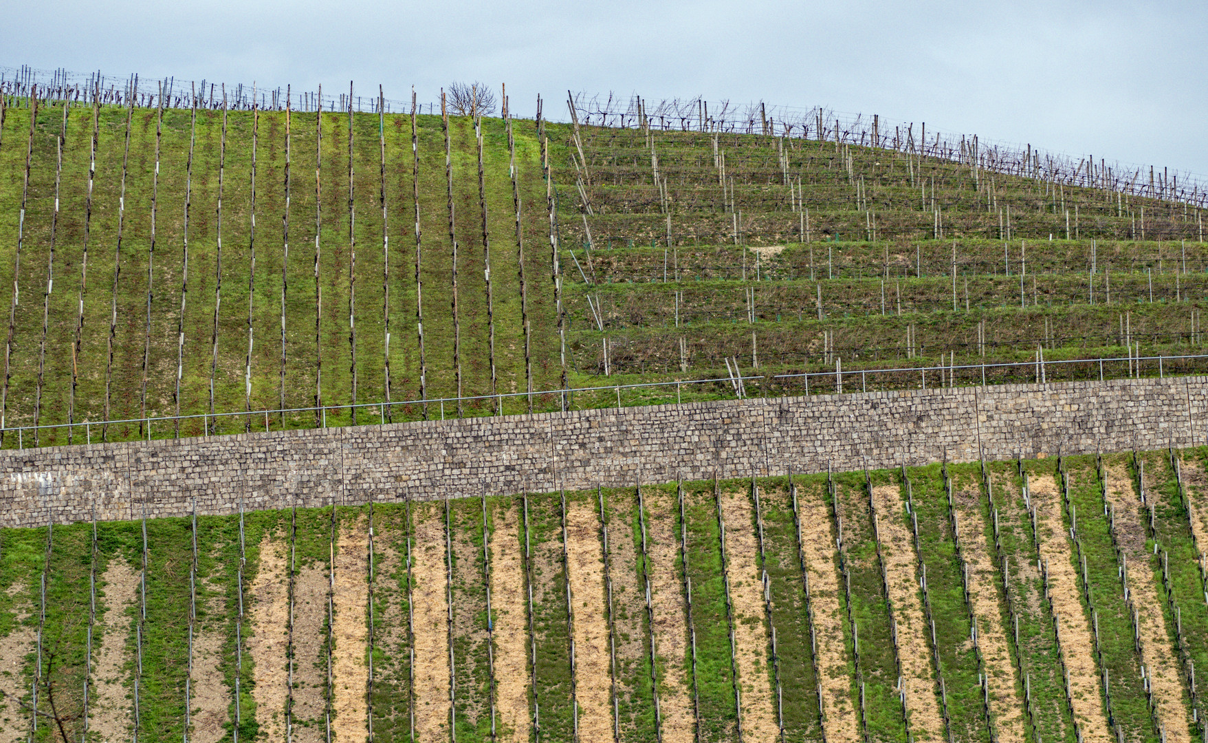 "Wie wird wohl dieses Jahr die Ernte"?