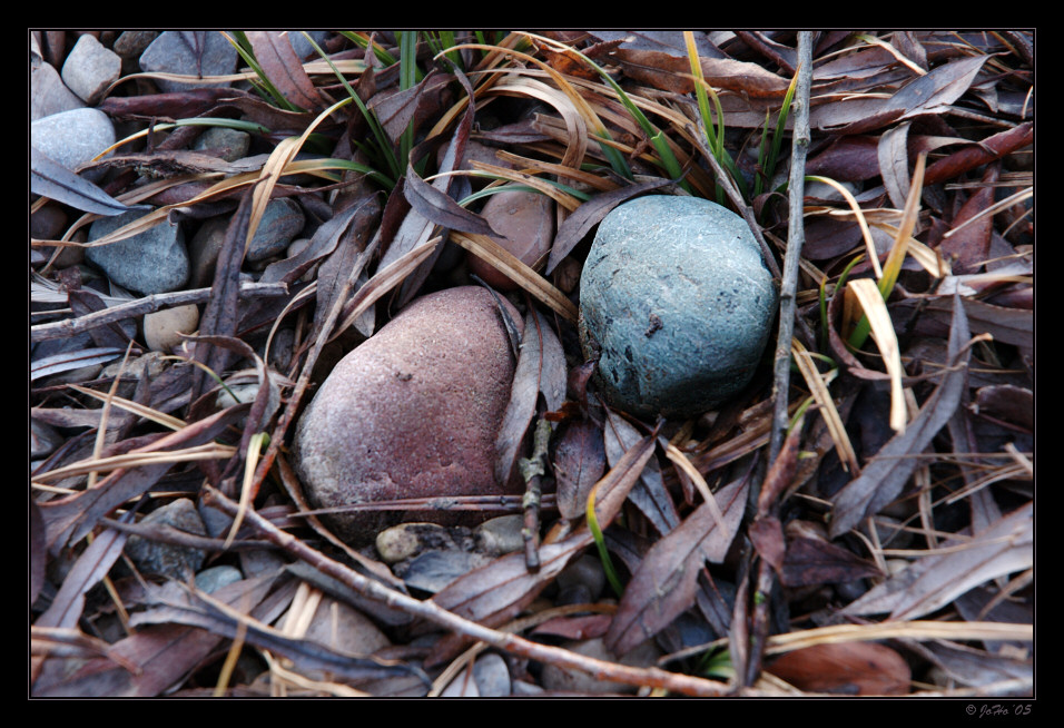 Wie zwei Eier im Nest