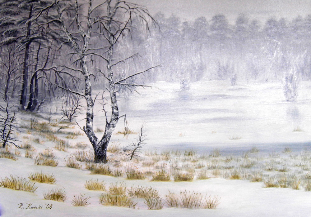 "Wieckenberger Moor im Winter" # 3,
